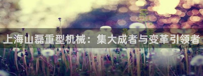 龙八国际服官方