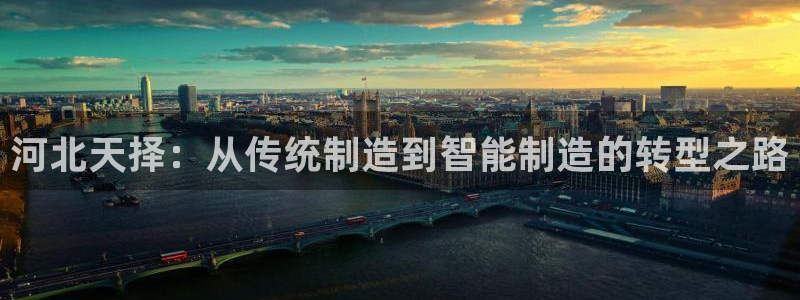 龙八国际安全