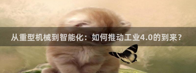 龙八国际官网