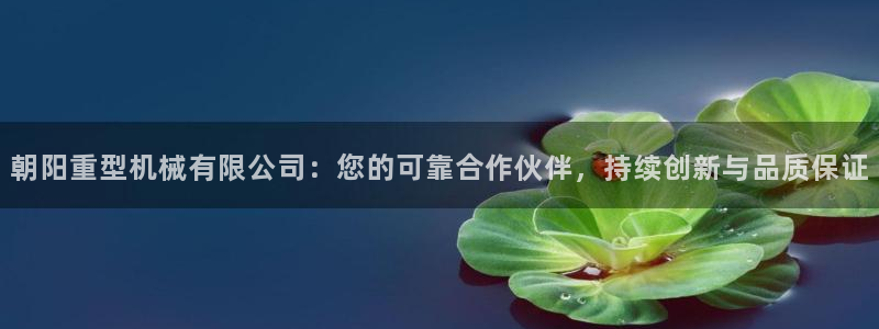 龙八国际app官方网站