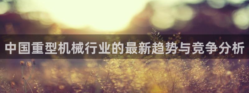 龙八国际歌曲