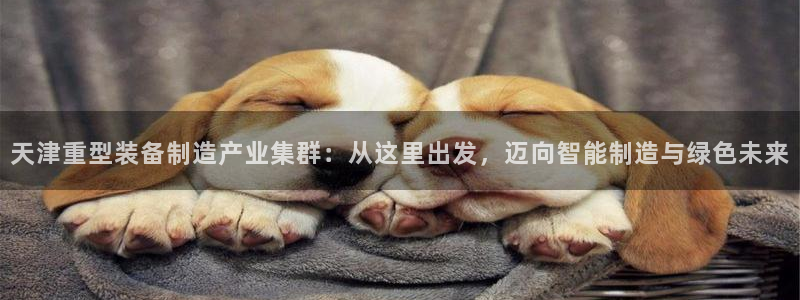 龙八国际贸易有限公司