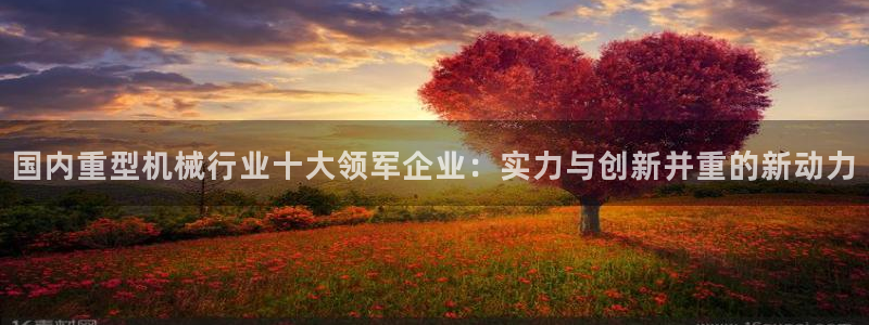 龙八国际官网下载