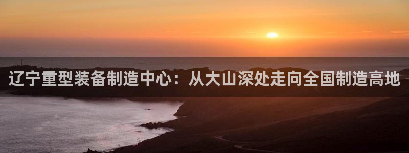 龙八国际服官网下载