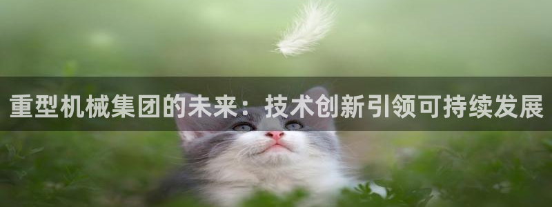 怎么举报龙八国际