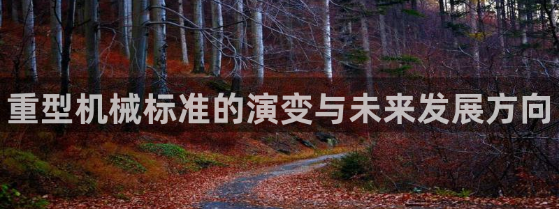 龙八国际网易云音乐