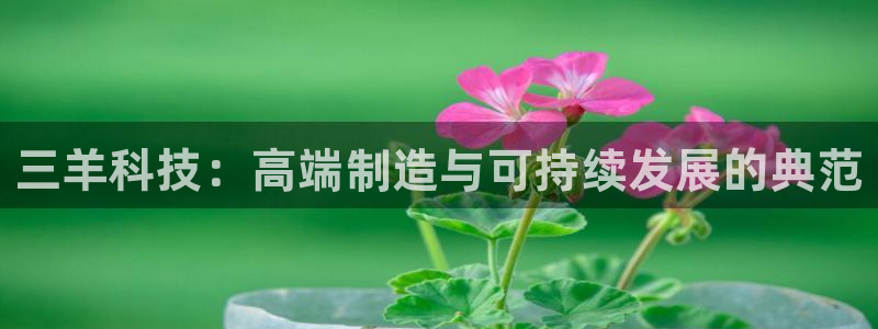 龙八国际app官网