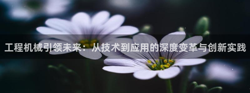 龙八国际官方网站