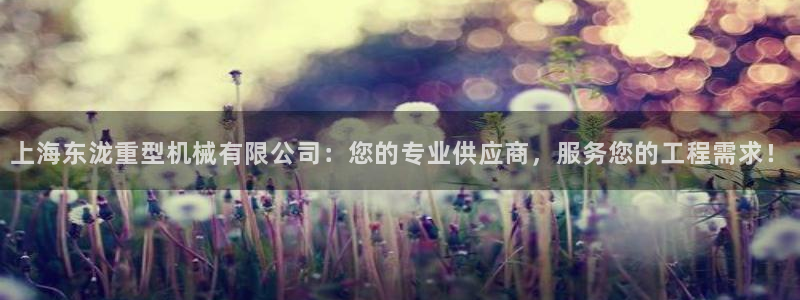 龙八国际pT娱乐官网