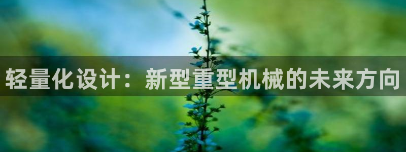 龙八国际游戏