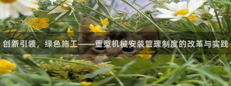 龙八国际娱乐城