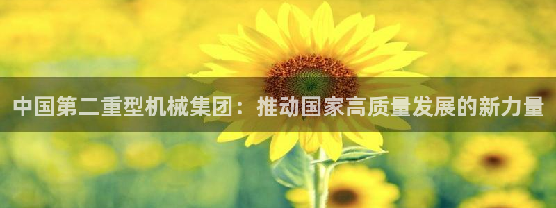 龙八国际官网手游