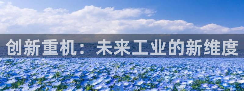 龙八国际棋牌官方网站